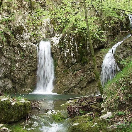 Toto Appartement *