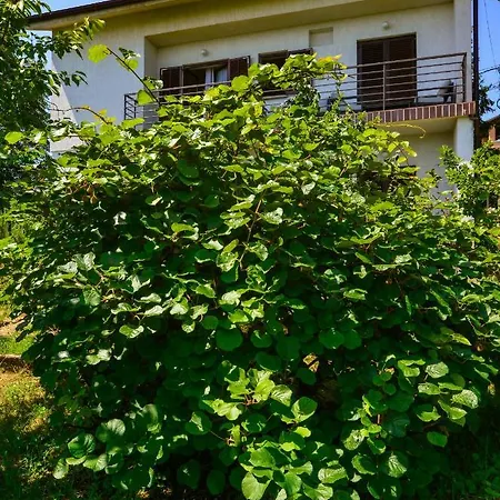 Appartement Toto Kraj (Istria)
