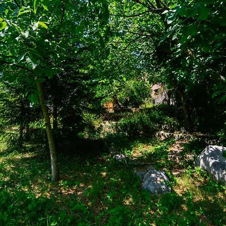 Toto * Kraj (Istria)
